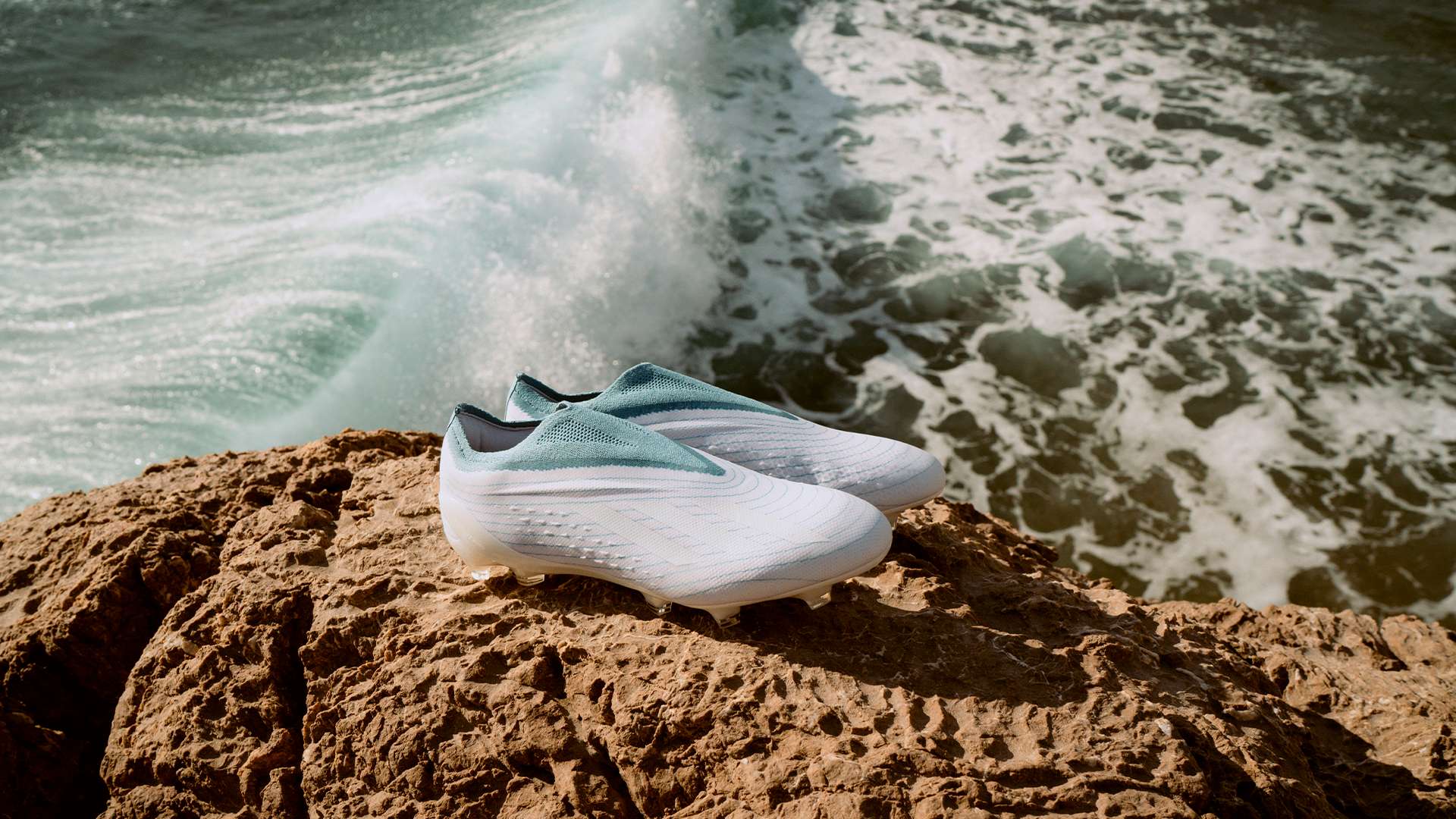 議的焦點 議的焦點