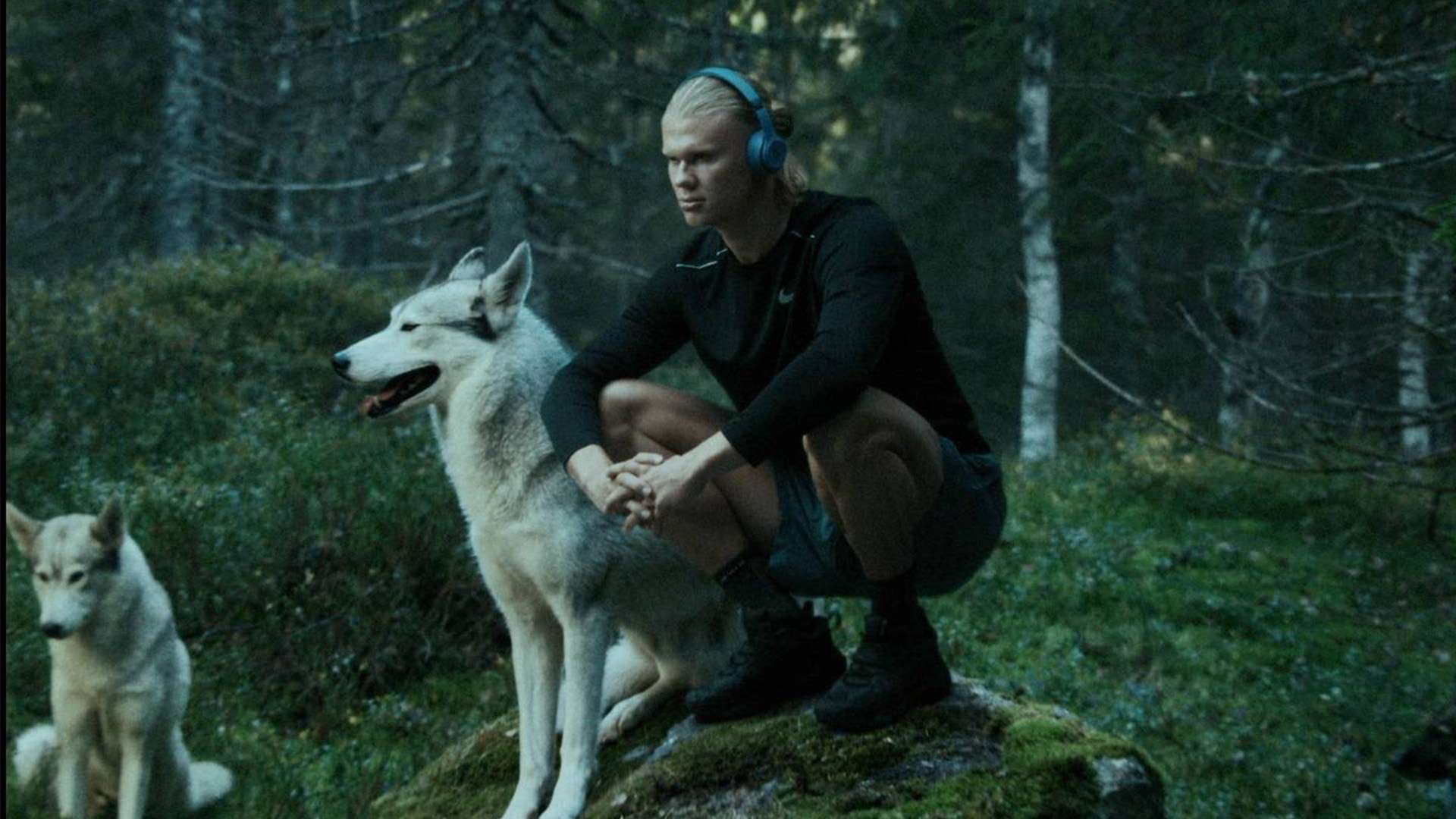 購哈弗茨和 購哈弗茨和