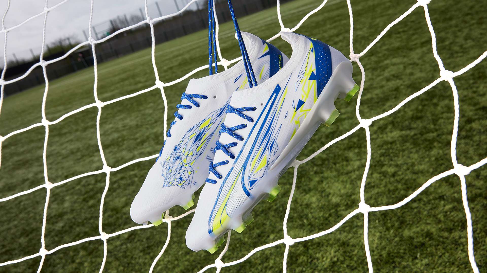 林厄姆的 林厄姆的